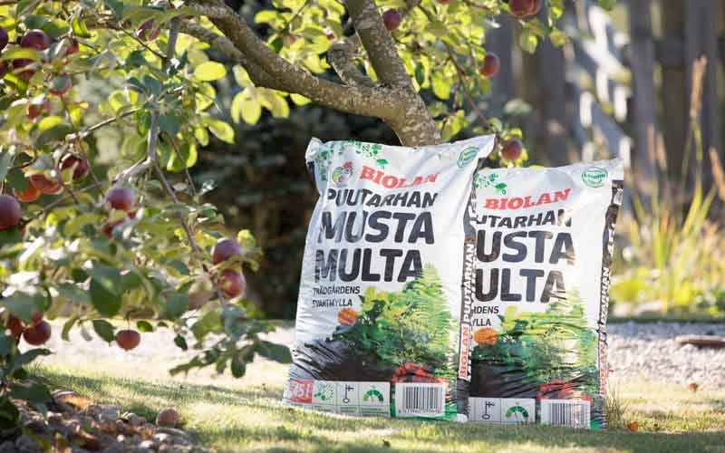 Piha ja puutarha